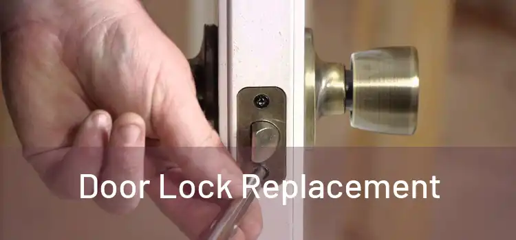  Door Lock Replacement 